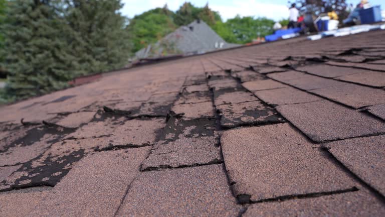 Best Roof Maintenance and Cleaning  in Whiskey Creek, FL